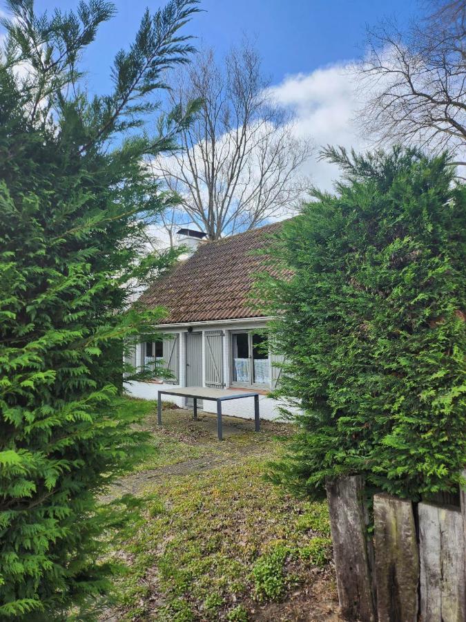 Вилла Maison Sunpark Oostduinkerk 550 Коксейде Экстерьер фото